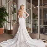 daphne full back (Large)