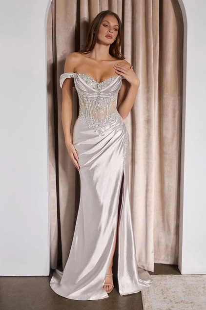 CC494 SILVER (Large)